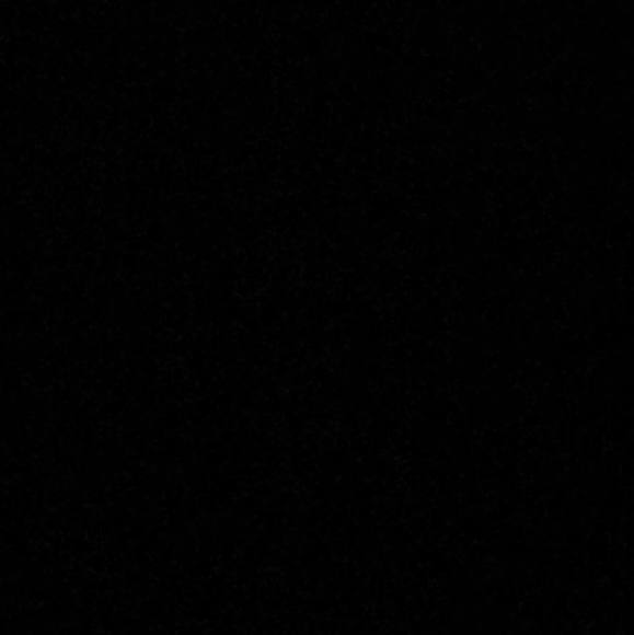 sarah_arabi01